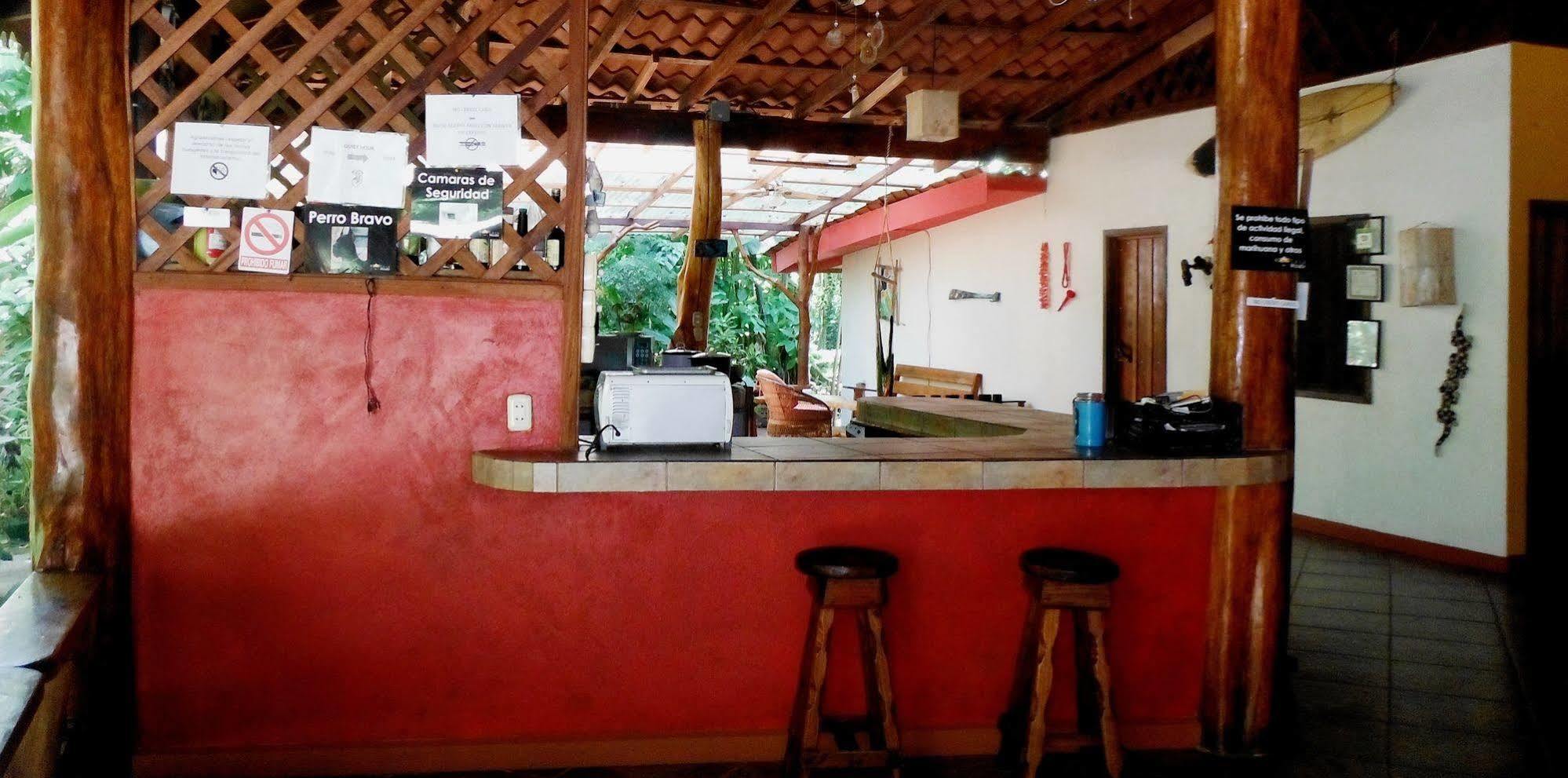 Casa Moabi Acomodação com café da manhã Cocles Exterior foto