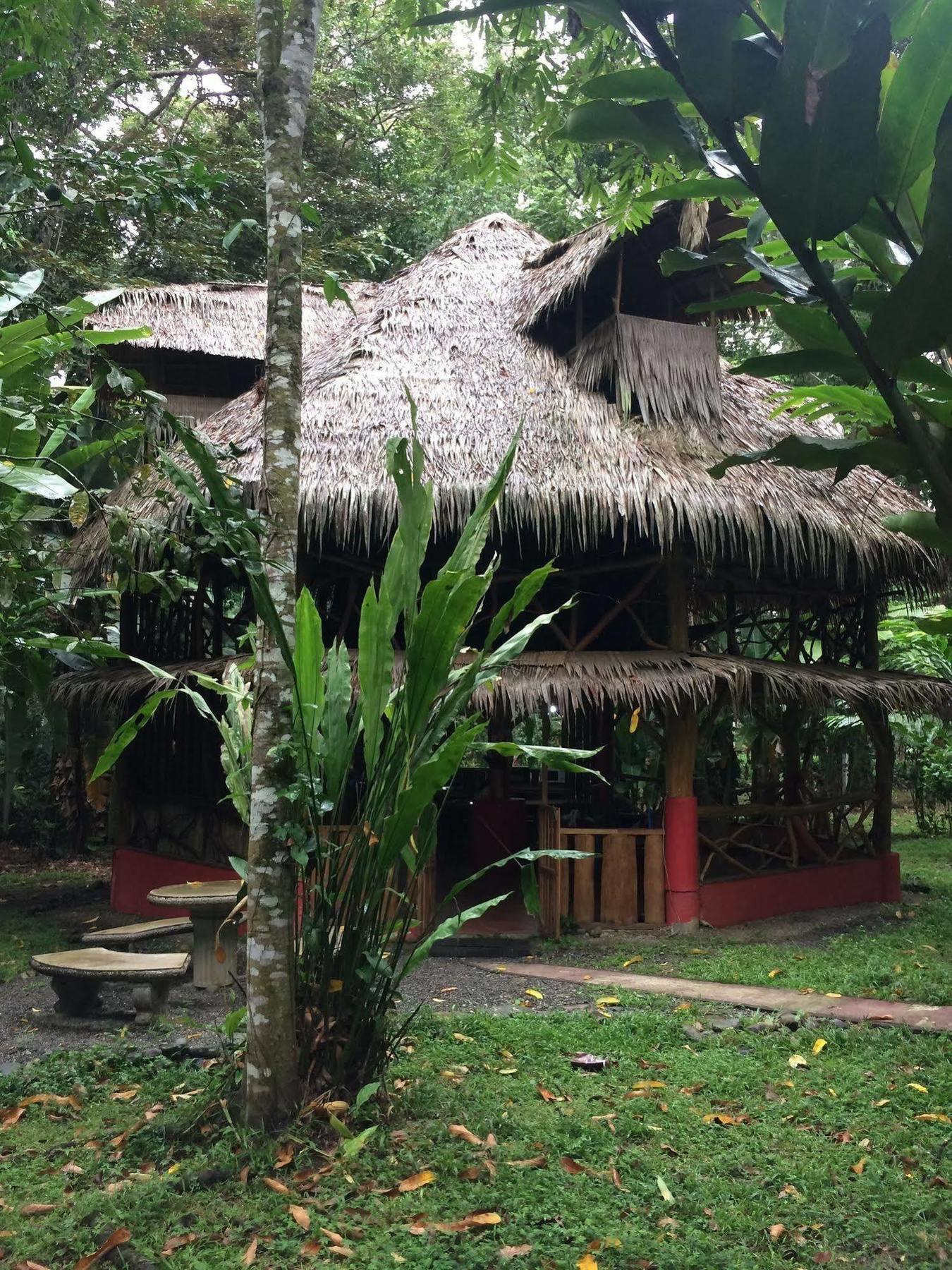 Casa Moabi Acomodação com café da manhã Cocles Exterior foto